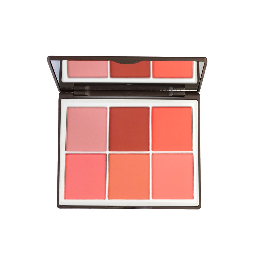 6 Color Elegant Matt & Silky Blushon - Sweetface