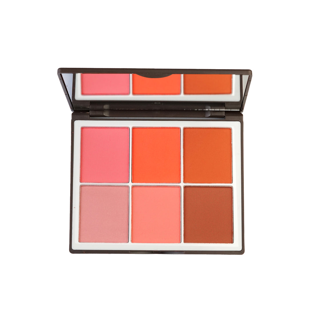 6 Color Elegant Matt & Silky Blushon - Sweetface